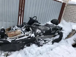 Yamaha Viking Professional ����