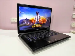 DNS Gamer. 17.3", ��� 16 ��, WiFi: 1, Bluetooth: 1, ����������� �� 1��. ��� ����� �� ������� ����