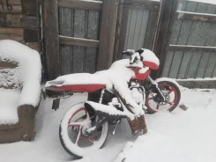 Cobra. 125����. ��., ��������, ��� ���, � �������� ����