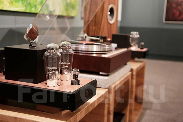 Пара моноблоков Audio Note Conquest - ламповый усилитель, Англия, 220V ...