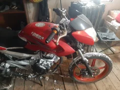 Cobra. 150����. ��., ��������, ��� ���, � �������� ����