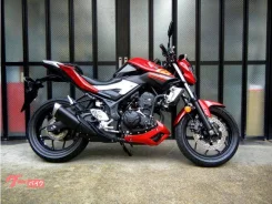 Yamaha MT-25. 250����. ��., ��������, ���������, ��� �������. ��� ����� �� ������������ ����
