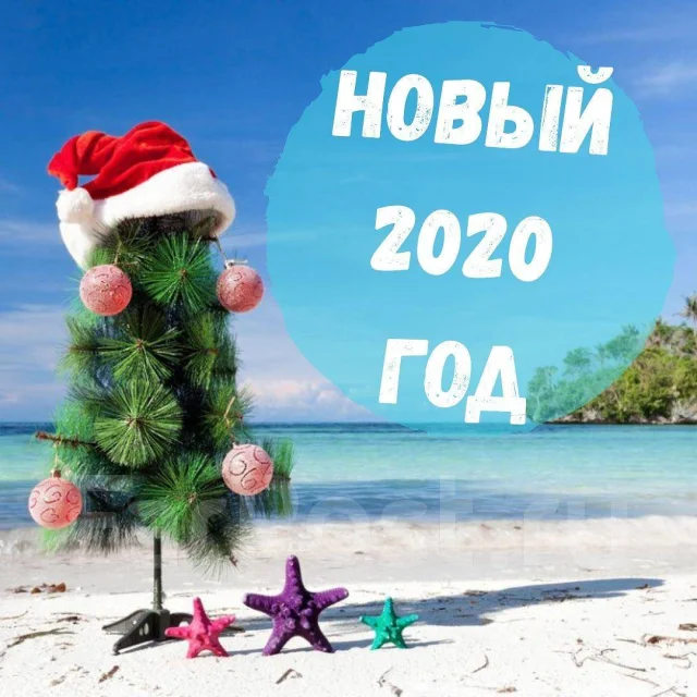 Оаэ Туры Цены На Новый Год