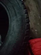 Accelera. ������, ����������, 2017 ���, �/�, ����� �� 5�% ����