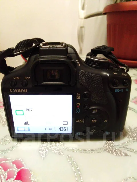 Canon EOS 500D. 15 - 19.9 ��, ���: 14� � ����� ����