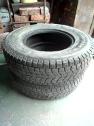 Gladiator. �����������, �/�, ����� 20 % ����