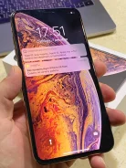 Apple iPhone Xs Max. �/�, �������, 4G LTE, ����������, NFC ����