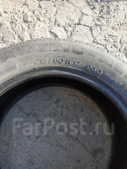 Michelin Arctic Alpin. ������, ��� �����, 2013 ���, �/�, ����� 50 % ����
