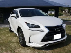 Lexus NX200t. �������, ��������, 2.0, ������, �/�. ��� ����� �� ������������ ����