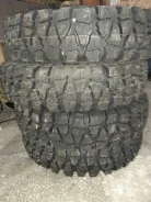 Forward Safari 510. ����� at, 2019 ���, ����� ����