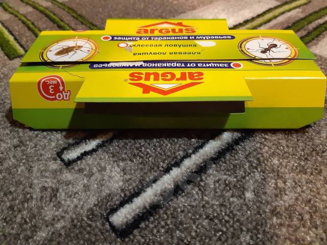 Аргус клеевая ловушка от тараканов домик. Ловушка для тараканов раптор. Раптор ловушки. Раптор гель от тараканов. Argus клеевая ловушка от тараканов (домик мини!!! 12*7см) 424.