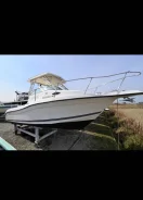 Striper. 1999 ���, ��������� ���������, 225��.�., ������. ��� ����� �� �������� ����