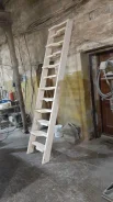 ������������ ������� ����
