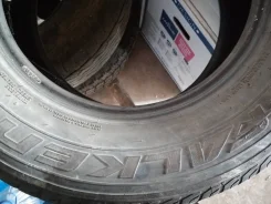 Falken Ziex S/TZ01. ������, 2012 ���, �/�, ����� 50�%
