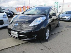 Nissan Leaf. ��������, �������������, �/�. ��� ����� �� ������������ ����