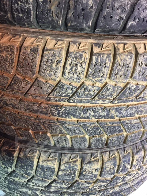 Autogrip Ecowinter. ������, ��� �����, 2015 ���, �/�, ����� 50 % ����