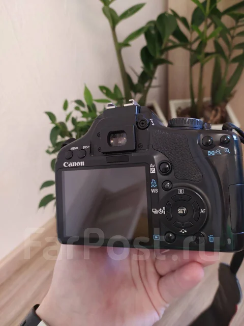 Canon EOS 450D. 10 - 14.9 ��, ���: 14� � ����� ����