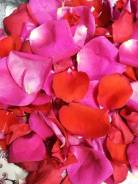 �������� ���. ����