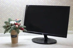 DNS. 20" ����