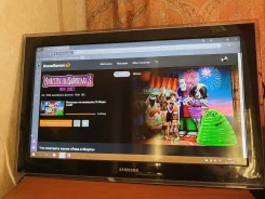 Samsung LE32D550K1W. LCD (��) ����