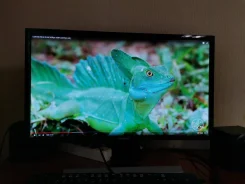 Samsung. 28" ����