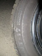 Bridgestone Winter Radial WT-17. ������, ����������, �/�, ����� 10 % ����
