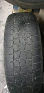 Falken Espia MV03. ������, ��� �����, �/�, ����� 70�%