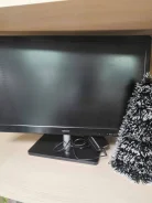 Dexp. 19" ����
