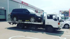 ����������. ����