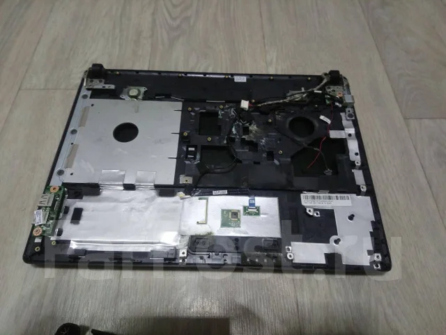 Acer ����