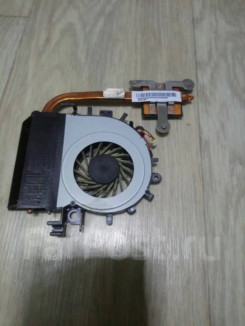 Acer ����