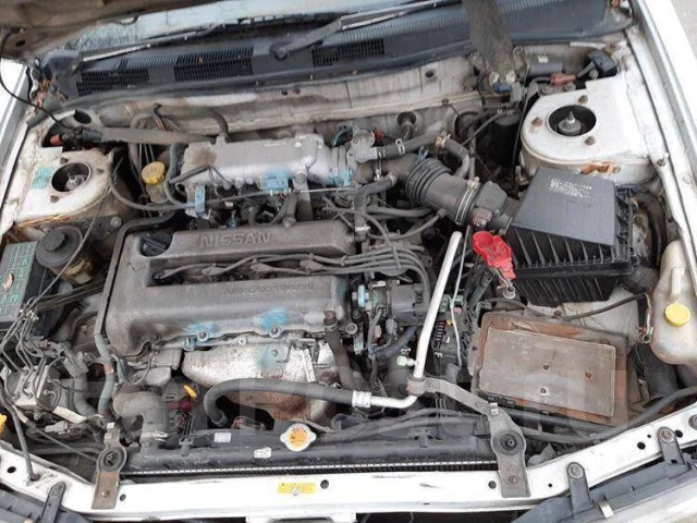 Nissan Bluebird. �������, ��������, 1.8, ������ ����