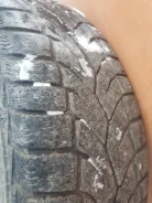 Gislaved Euro Frost 3 Silica. ������, 2014 ���, �/�, ����� 50�%