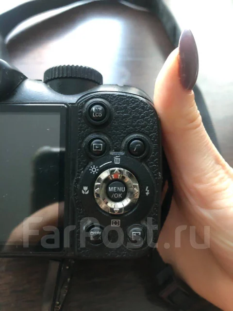 Fujifilm FinePix S2950. 10 - 14.9 ��, ���: 14� � ����� ����