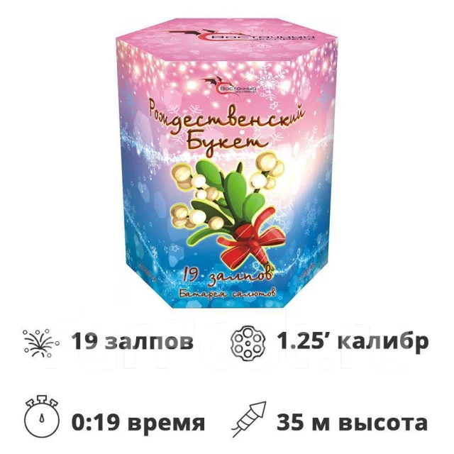 Салют Новогодний 19 Залпов