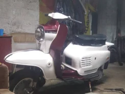 �����. 250����. ��., ��������, ��� ���, � �������� ����