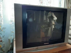 Panasonic TX-25FG20T ����