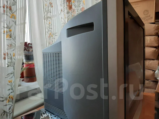 Panasonic TX-25FG20T ����