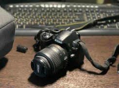 Nikon D3100. 10 - 14.9 ��, ���: 3� ����
