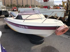 Yamaha Fish 15. ��������� ���������, 30��.�., ������ ����
