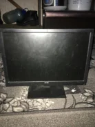 DNS. 19" ����