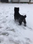 ������-����������� �����. ����