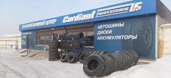 Deestone D301. �����������, 2019 ���, ����� ����
