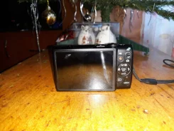 Canon Digital IXUS 255 HS. 10 - 14.9 ��, ���: 10� ����