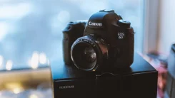 Canon EOS 6D. 20 � ����� ��, ���: ��� ���� ����