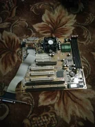 AMD. ��� ����� �� ��������� ����