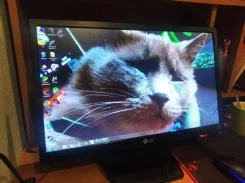 LG. 21" ����