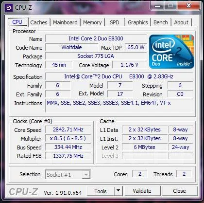 Intel Core 2 Duo E8300 ����