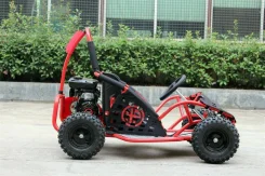 Motoland Gokart 80. ��������, ��� ���\���, ��� �������. ��� ����� �� ������������ ����