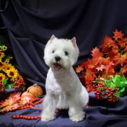 �������.